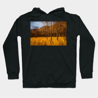 Glen Torridon Hoodie